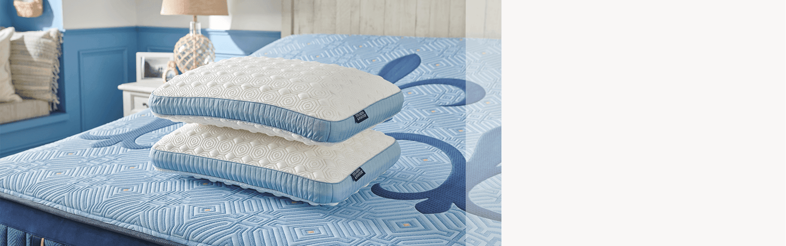 Shop Stearns & Foster® Pillows Stearns